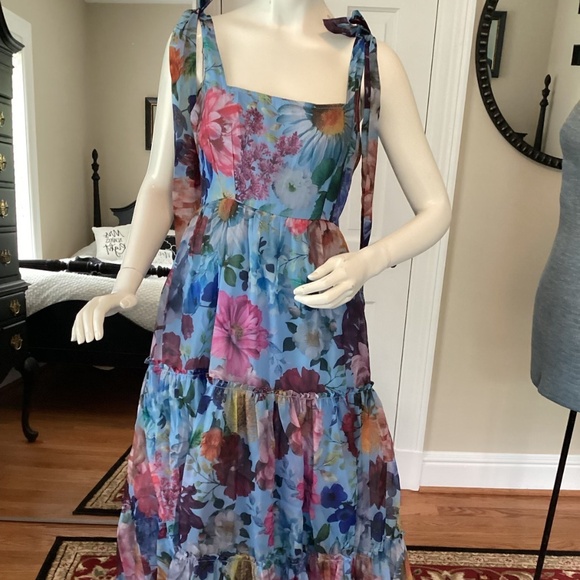 A6 - #281 Francesca's AUDREY PARKS LT BLUE FLORAL MAXI DRESS - Picture 11 of 11